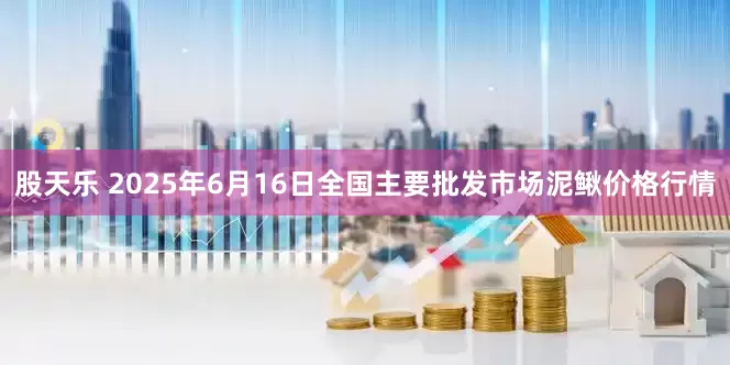 股天乐 2025年6月16日全国主要批发市场泥鳅价格行情