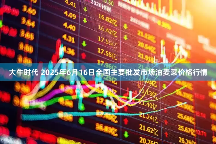 大牛时代 2025年6月16日全国主要批发市场油麦菜价格行情