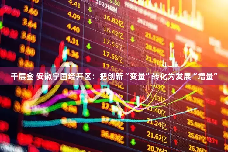 千层金 安徽宁国经开区：把创新“变量”转化为发展“增量”