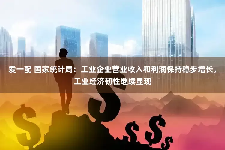 爱一配 国家统计局：工业企业营业收入和利润保持稳步增长，工业经济韧性继续显现